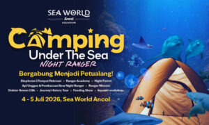 Camping Under The Sea